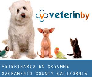 veterinario en Cosumne (Sacramento County, California)