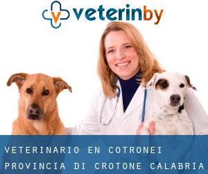 veterinario en Cotronei (Provincia di Crotone, Calabria)