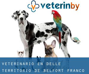 veterinario en Delle (Territorio de Belfort, Franco Condado)