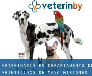 veterinario en Departamento de Veinticinco de Mayo (Misiones)