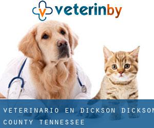 veterinario en Dickson (Dickson County, Tennessee)