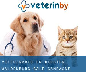 veterinario en Diegten (Waldenburg, Bâle Campagne)