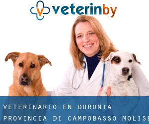 veterinario en Duronia (Provincia di Campobasso, Molise)
