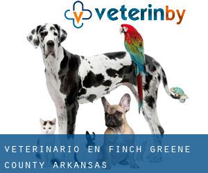 veterinario en Finch (Greene County, Arkansas)