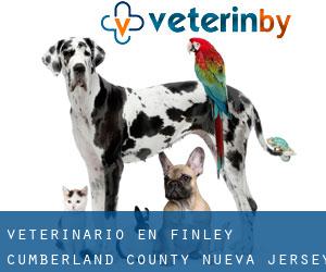 veterinario en Finley (Cumberland County, Nueva Jersey)