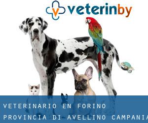 veterinario en Forino (Provincia di Avellino, Campania)