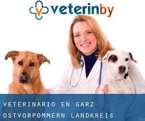 veterinario en Garz (Ostvorpommern Landkreis, Mecklemburgo-Pomerania Occidental)