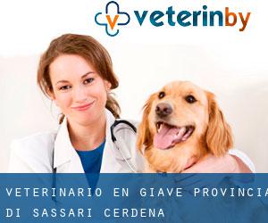 veterinario en Giave (Provincia di Sassari, Cerdeña)