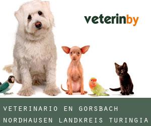 veterinario en Görsbach (Nordhausen Landkreis, Turingia)