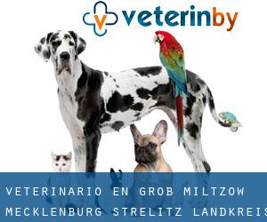 veterinario en Groß Miltzow (Mecklenburg-Strelitz Landkreis, Mecklemburgo-Pomerania Occidental)