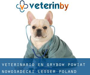 veterinario en Grybów (Powiat nowosadecki (Lesser Poland Voivodeship), Pequeña Polonia)