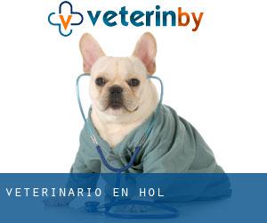 veterinario en Hol