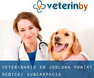 veterinario en Jodłowa (Powiat dębicki, Subcarpacia)