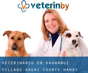 veterinario en Kaawanui Village (Kauai County, Hawai)