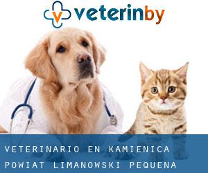 veterinario en Kamienica (Powiat limanowski, Pequeña Polonia)
