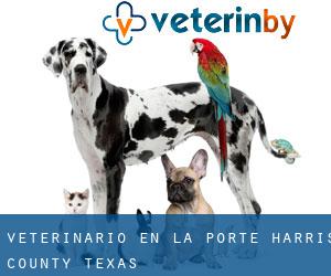 veterinario en La Porte (Harris County, Texas)