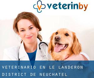 veterinario en Le Landeron (District de Neuchâtel, Neuchâtel)