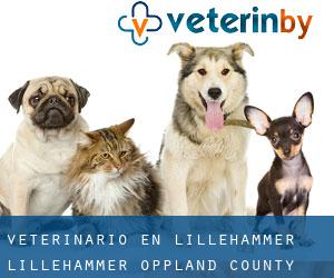 veterinario en Lillehammer (Lillehammer, Oppland county)