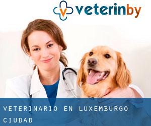 veterinario en Luxemburgo (Ciudad)