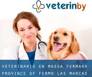 veterinario en Massa Fermana (Province of Fermo, Las Marcas)