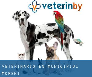 veterinario en Municipiul Moreni