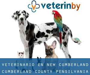 veterinario en New Cumberland (Cumberland County, Pensilvania)