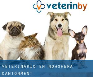 veterinario en Nowshera Cantonment