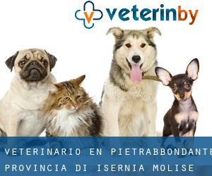 veterinario en Pietrabbondante (Provincia di Isernia, Molise)