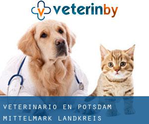 veterinario en Potsdam-Mittelmark Landkreis