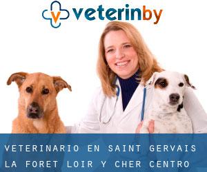 veterinario en Saint-Gervais-la-Forêt (Loir y Cher, Centro)