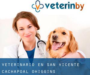 veterinario en San Vicente (Cachapoal, O'Higgins)