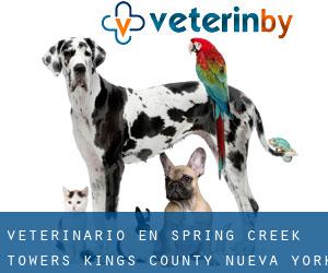 veterinario en Spring Creek Towers (Kings County, Nueva York)