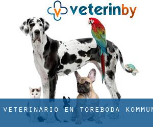 veterinario en Töreboda Kommun