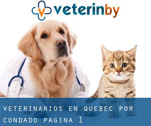 veterinarios en Quebec por Condado - página 1