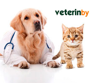 veterinario en Bronx (Bronx, Nueva York)