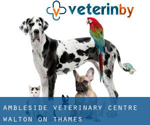Ambleside Veterinary Centre (Walton-on-Thames)