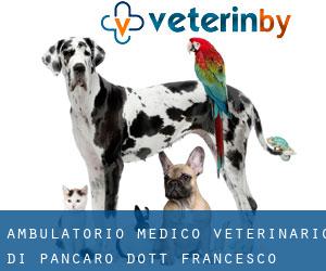 Ambulatorio Medico Veterinario Di Pancaro Dott. Francesco Paolo (Acri)
