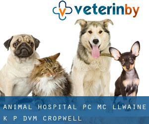 Animal Hospital PC: Mc Llwaine K P DVM (Cropwell)