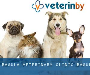 Bagula Veterinary Clinic (Bagulā)