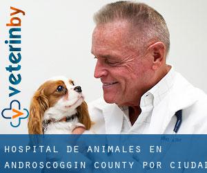 Hospital de animales en Androscoggin County por ciudad principal - página 1