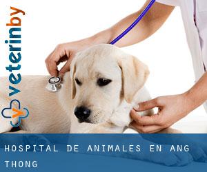 Hospital de animales en Ang Thong