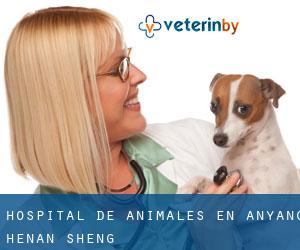 Hospital de animales en Anyang (Henan Sheng)
