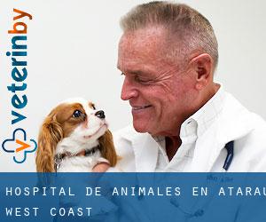 Hospital de animales en Atarau (West Coast)