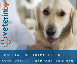 Hospital de animales en Avrainville (Champaña-Ardenas)