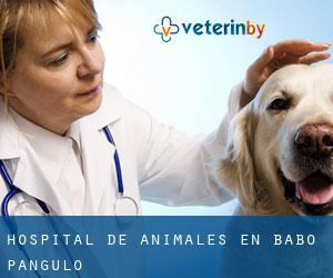 Hospital de animales en Babo-Pangulo