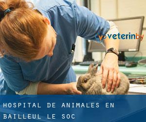 Hospital de animales en Bailleul-le-Soc