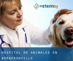 Hospital de animales en Barbéronville