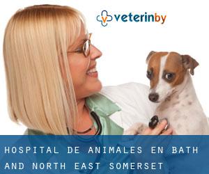 Hospital de animales en Bath and North East Somerset