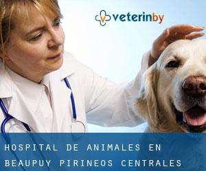 Hospital de animales en Beaupuy (Pirineos Centrales)