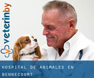 Hospital de animales en Bennecourt